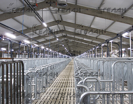 Pig farm lighting system